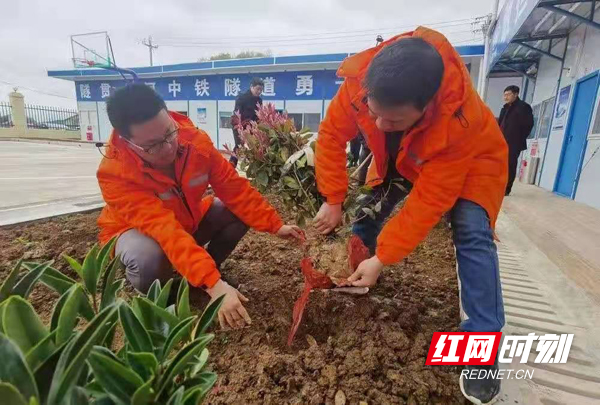 图片1.jpg 图片1.jpg