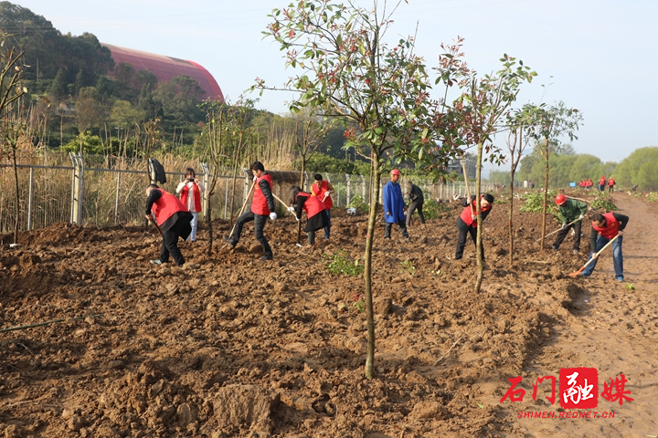 微信图片_20210312122859.jpg 微信图片_20210312122859.jpg