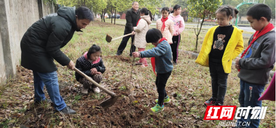 西头学校植树节通讯稿120.png