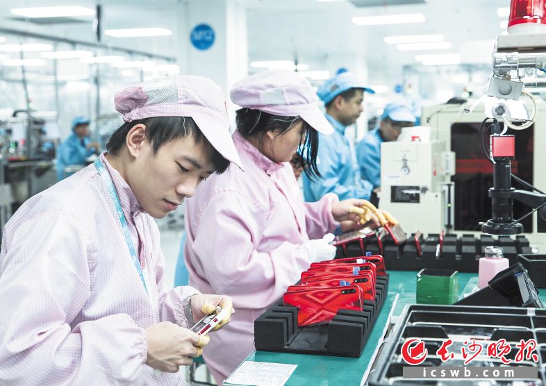 落户望城1年多,长沙比亚迪电子有限公司实现逆势增长,首个整年产值达109.84亿元,图为比亚迪生产线。 望城经开区供图