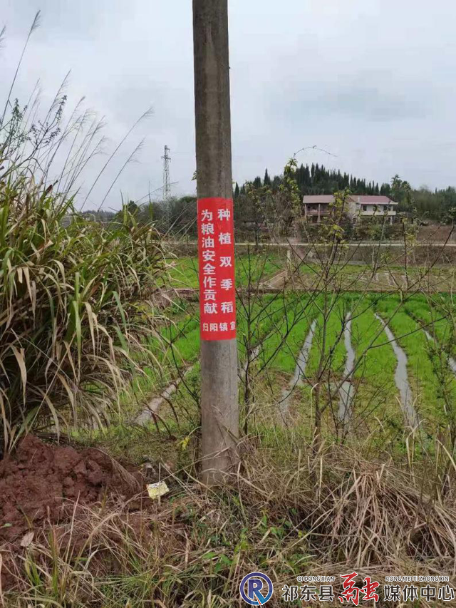 w_图片2.png