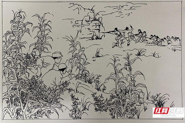 《玉米地里的游击战》。作者：吉雯瑾(1)_副本.jpg