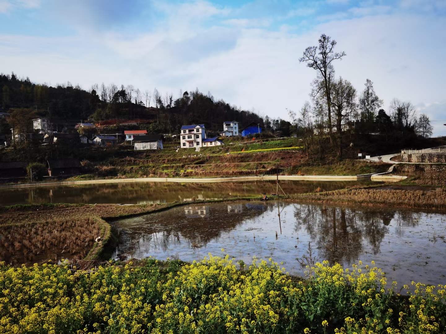 长乐乡:"建设美丽湘西有我"引领路上党旗红_推荐_花垣站