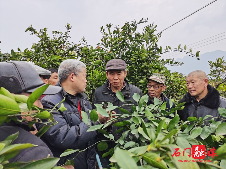 微信图片_20210316162149.jpg