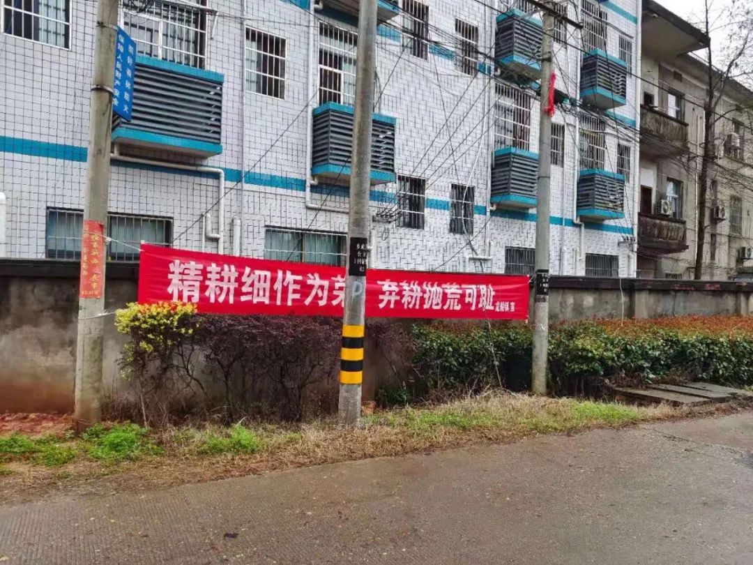 早稻播种季 横幅大pk_农业农村局_渌口新闻网