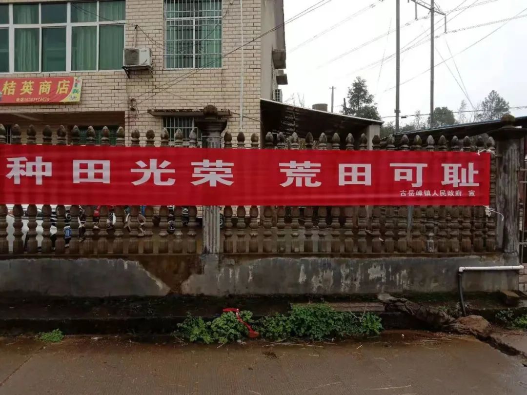 早稻播种季 横幅大pk_农业农村局_渌口新闻网