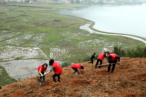 义务植树500.jpg