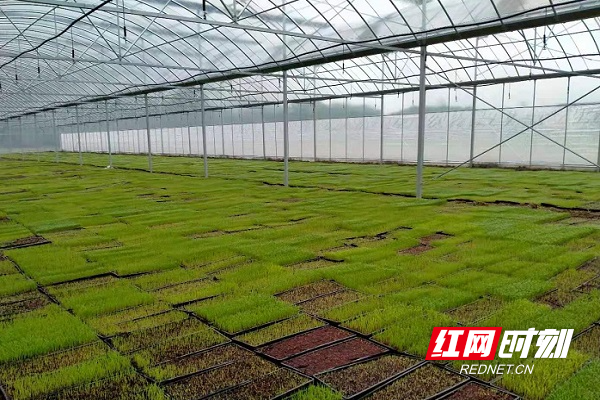 微信图片_20210317093339.jpg 微信图片_20210317093339.jpg