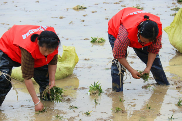 图片1_副本.jpg 图片1_副本.jpg