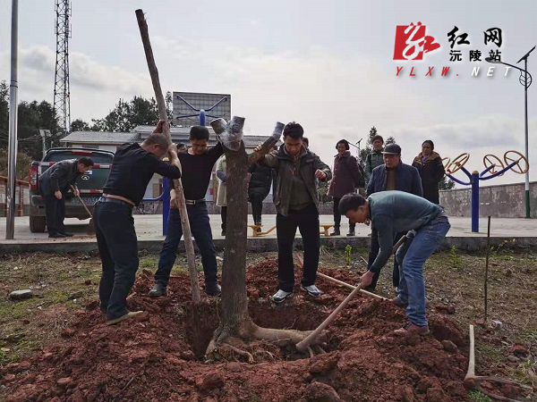 微信图片_20210318150938.jpg