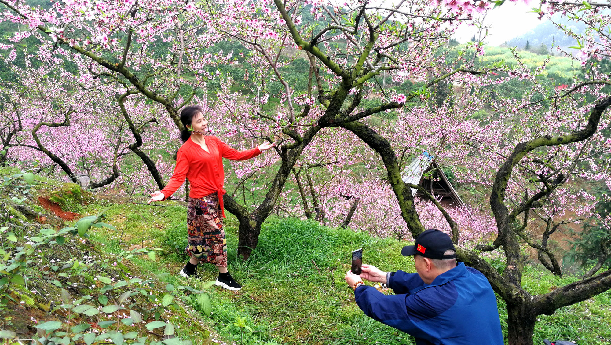 微信图片_20210319102829_副本.jpg 微信图片_20210319102829_副本.jpg