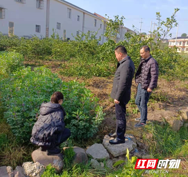 QQ图片20210319092409.png