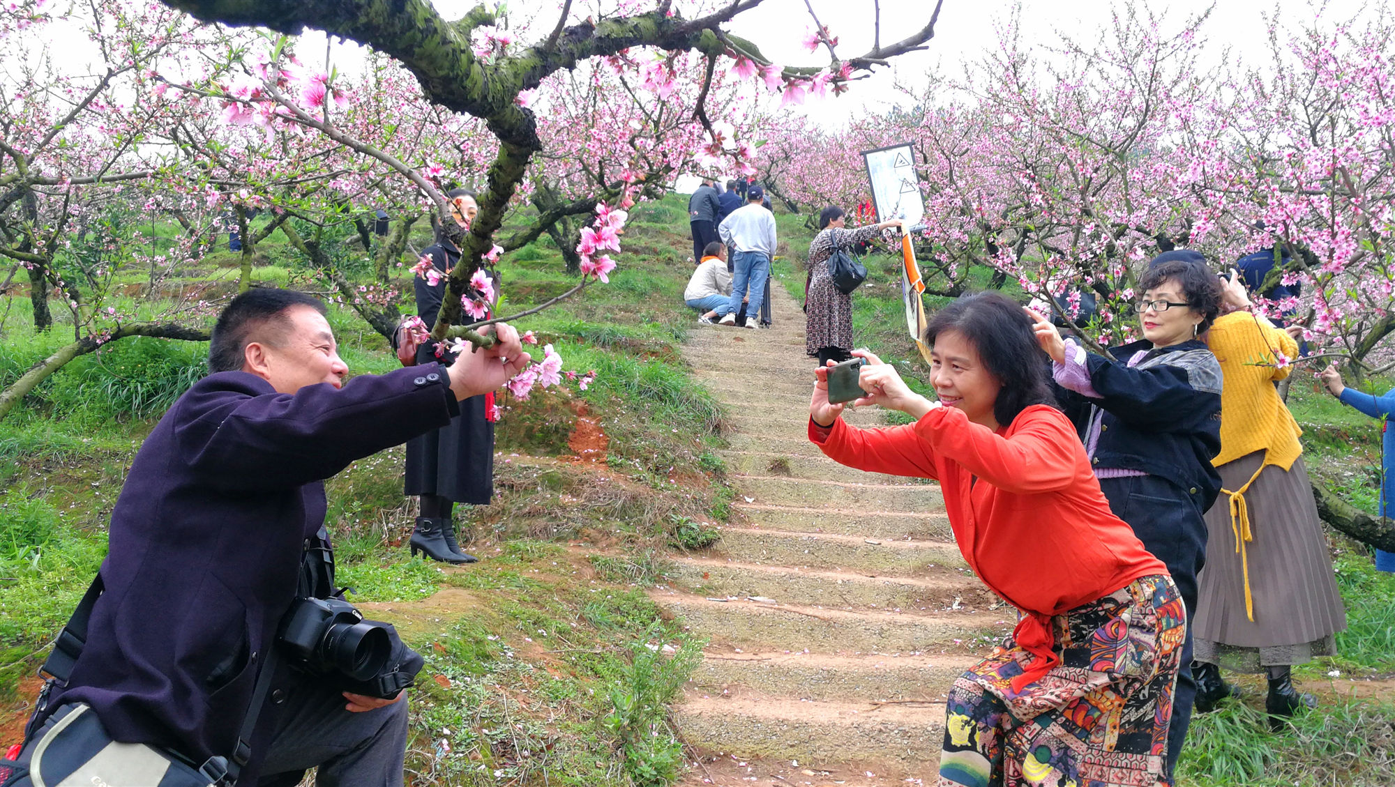 微信图片_20210319102708_副本.jpg 微信图片_20210319102708_副本.jpg