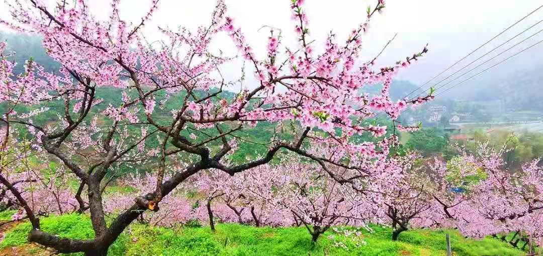 微信图片_20210319124709_副本.jpg 微信图片_20210319124709_副本.jpg