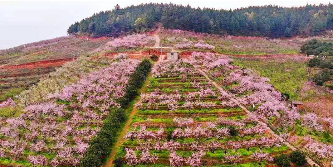 微信图片_20210319124714_副本.jpg 微信图片_20210319124714_副本.jpg