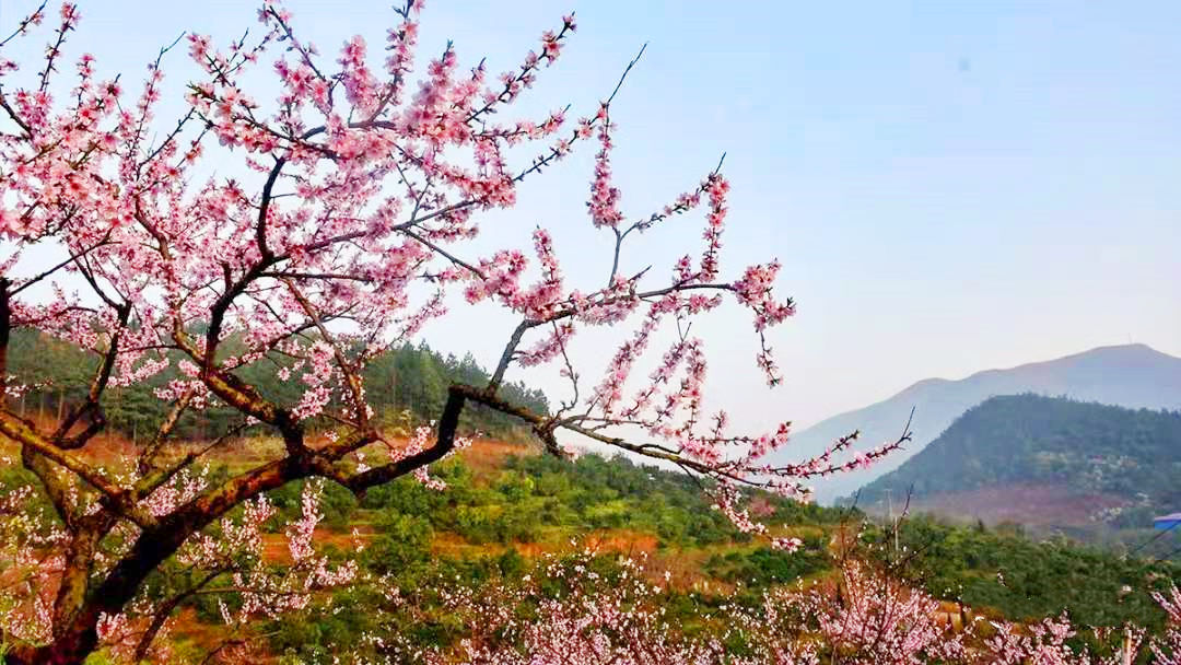 微信图片_20210319124717_副本.jpg 微信图片_20210319124717_副本.jpg