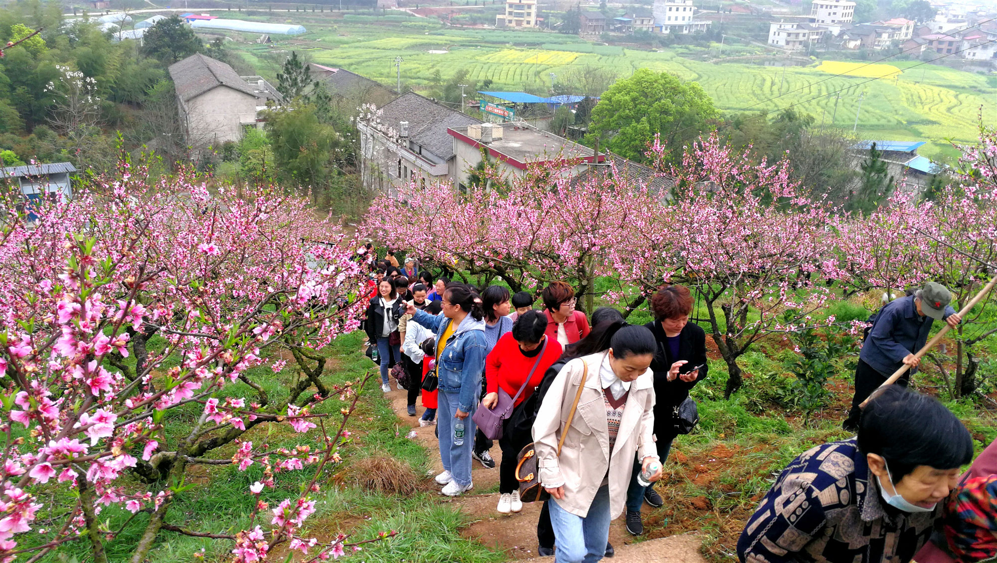 微信图片_20210319102849_副本.jpg 微信图片_20210319102849_副本.jpg