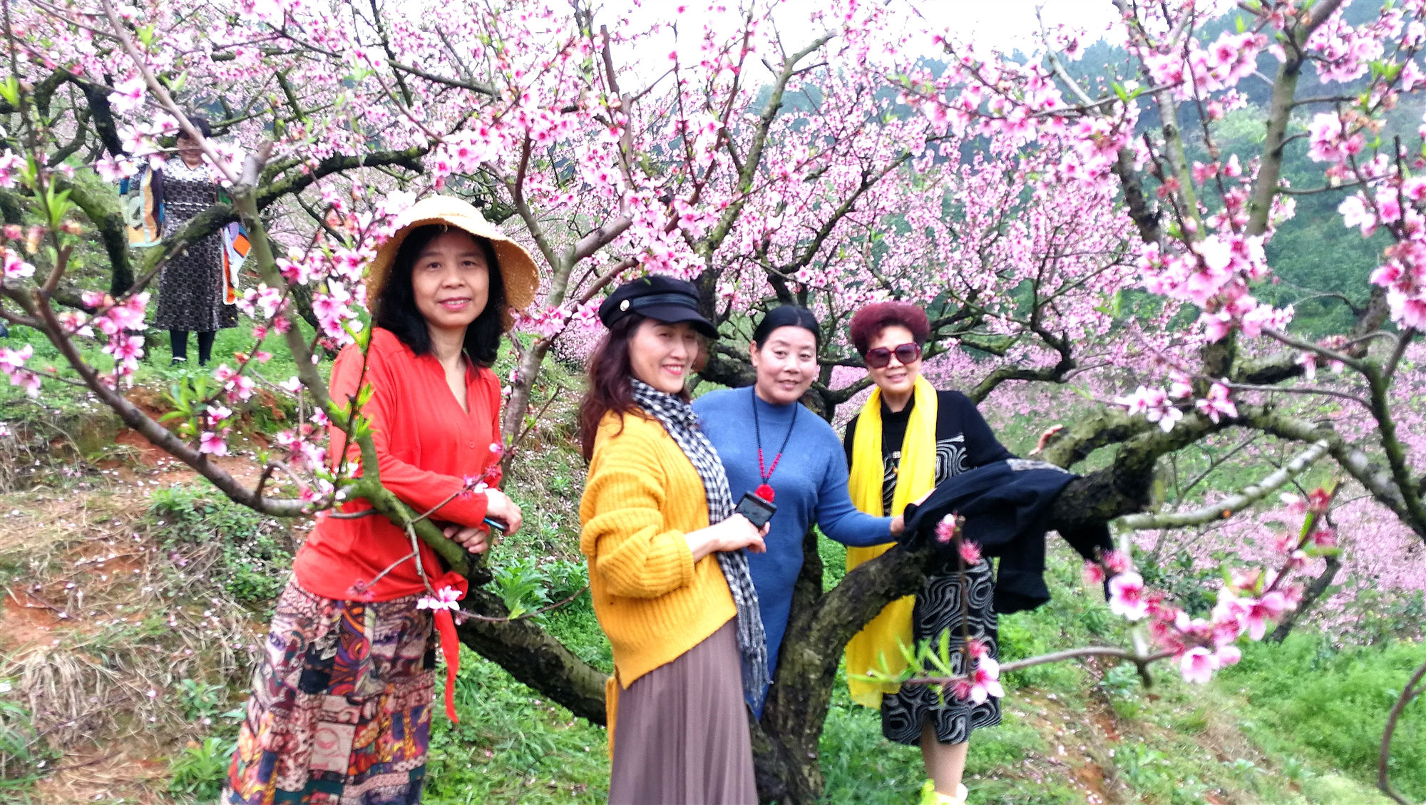 微信图片_20210319102840_副本.jpg 微信图片_20210319102840_副本.jpg