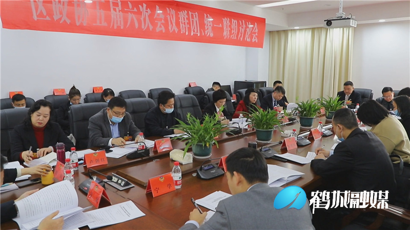 区政协委员就政协工作报告、提案工作报告开展联组讨论.mp4_20210322_180940.211.jpg