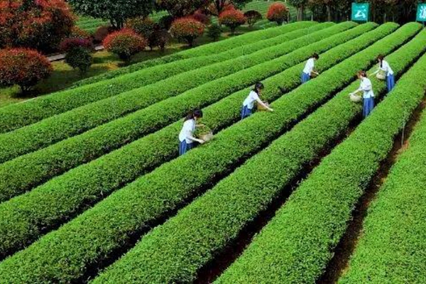 322.11.jpg 322.11.jpg