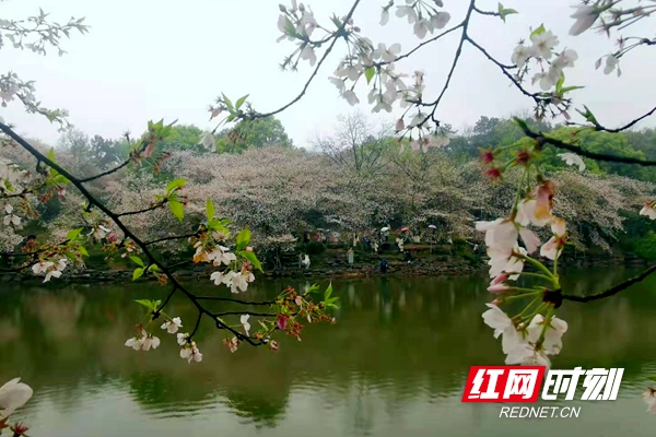 微信图片_20210322102314.jpg