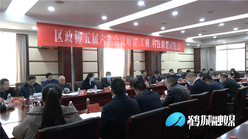 向秀亮参加区政协五届六次会议财贸 工商 科技联组讨论（半成品）.mp4_20210323_151102.333.png
