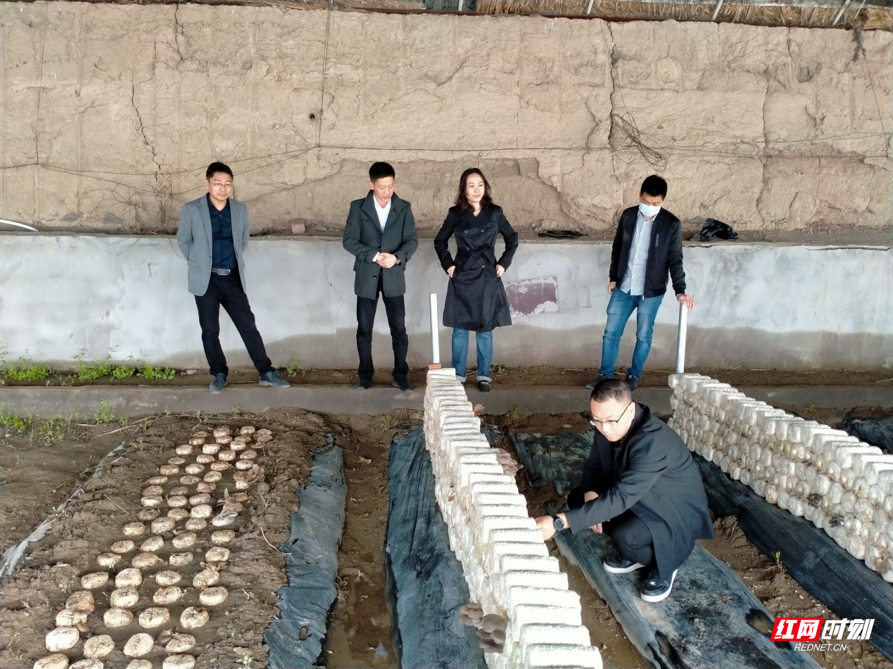 援疆1图.jpg 援疆1图.jpg