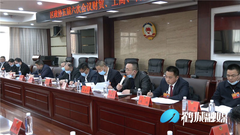 向秀亮参加区政协五届六次会议财贸 工商 科技联组讨论（半成品）.mp4_20210323_151129.804.png