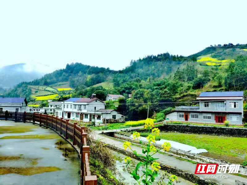 雨后的南岔村.