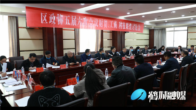 陈良鹏参加区政协五届六次会议联组讨论.mp4_20210323_192252.927.png