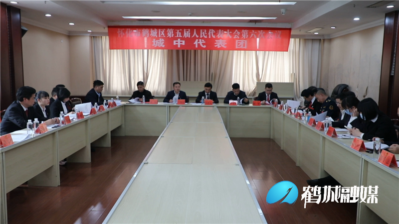 冯贵友参加区人大五届六次会议分组讨论（半成品）.mp4_20210323_185506.366.png