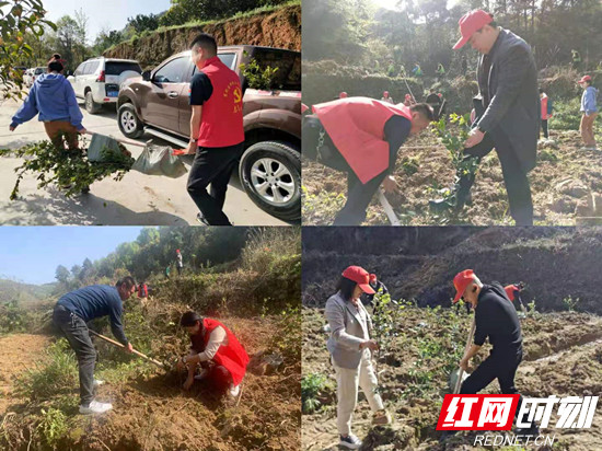 植树人干劲足.jpg