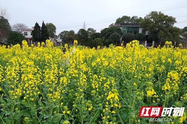 d439b6003af33a8708fe6c9d19a3543e5143b5a8.jpeg d439b6003af33a8708fe6c9d19a3543e5143b5a8.jpeg