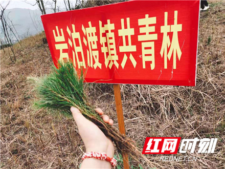 微信图片_202103231641431.jpg 微信图片_202103231641431.jpg