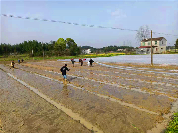微信图片_20210324122332.jpg