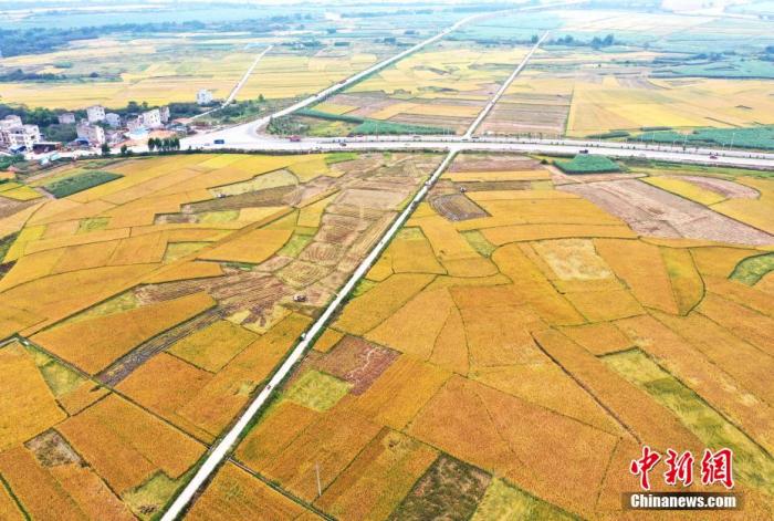 资料图:乡间农田。 周贻刚 摄 资料图:乡间农田。 周贻刚 摄