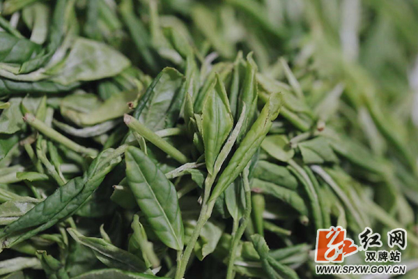 茶叶_副本.jpg 茶叶_副本.jpg