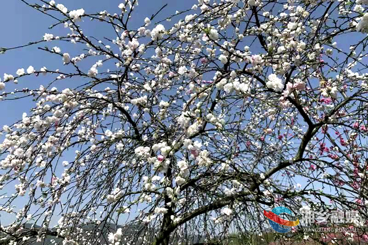 微信图片_20210324190900_副本.jpg