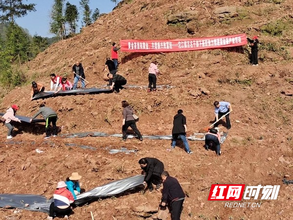 图片15.jpg