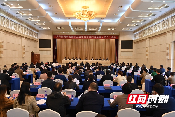 共青团湖南省第十五届委员会召开第六次全体（扩大）会议