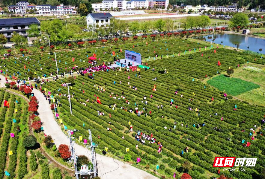 QQ截图20210328132214.jpg