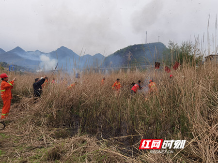 森林防火演练.jpg