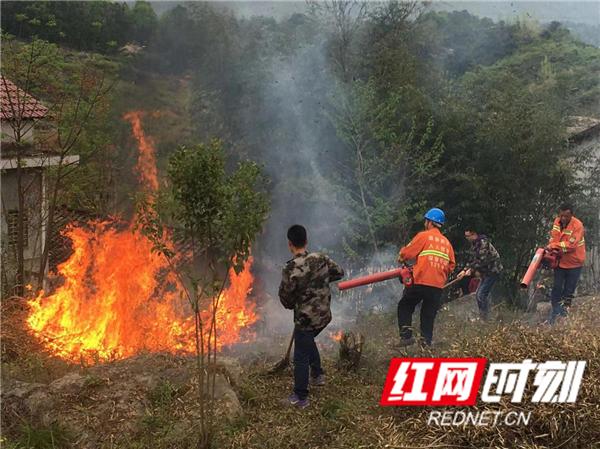 图片2_副本.png 图片2_副本.png