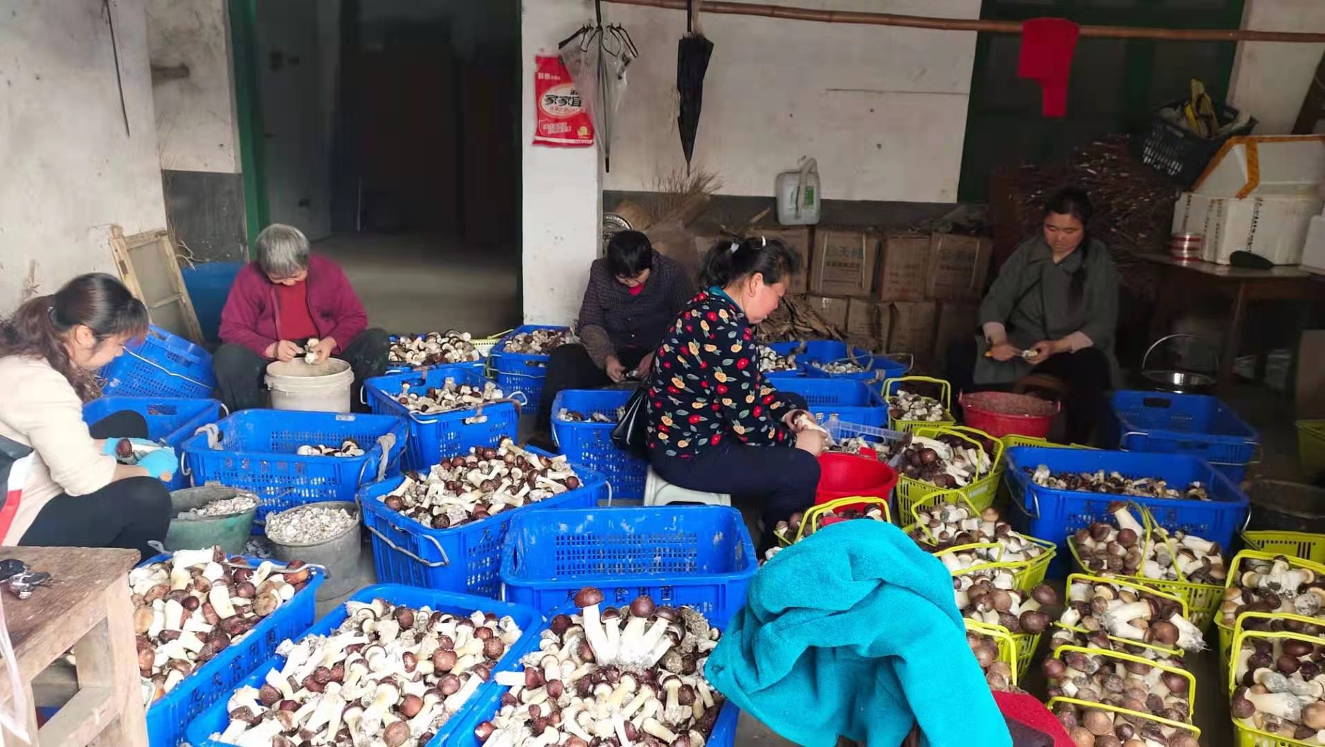 微信图片_20210329144745.jpg