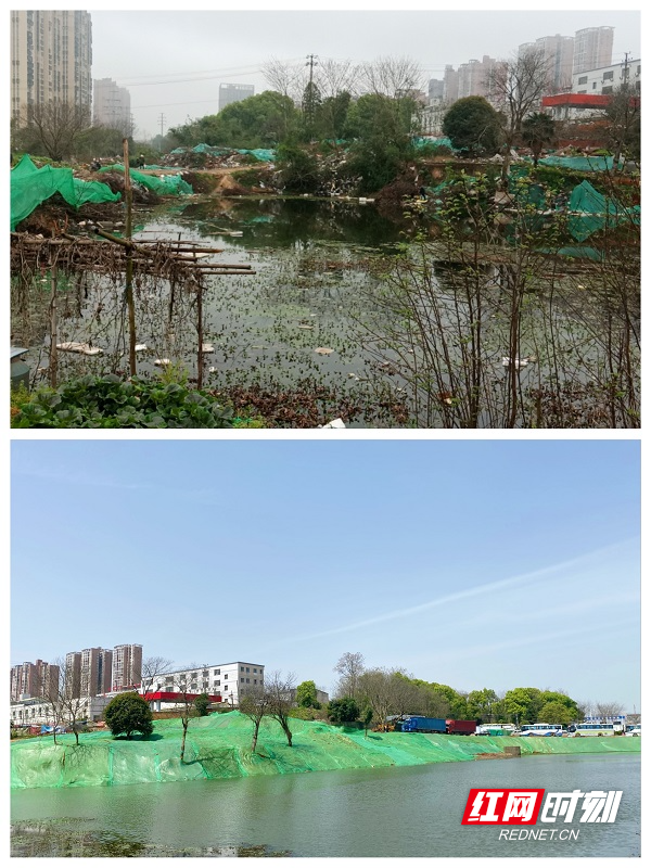 公母塘整改前后对比.jpg