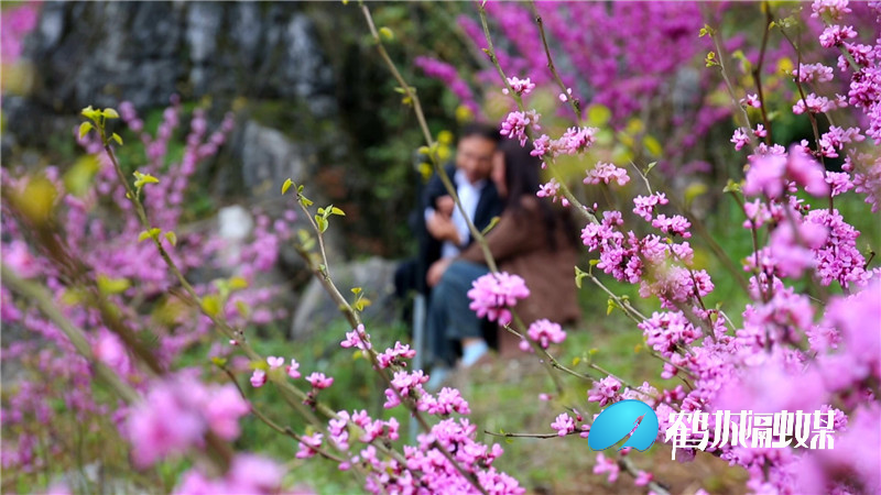 怀化大峡谷致富花.mp4_20210330_171119.232.jpg