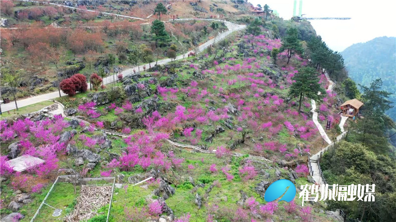 怀化大峡谷致富花.mp4_20210330_171103.104.jpg