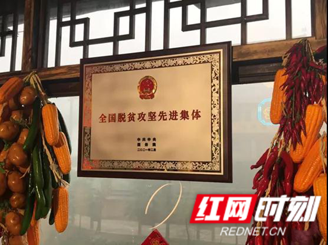 图片2_副本.png