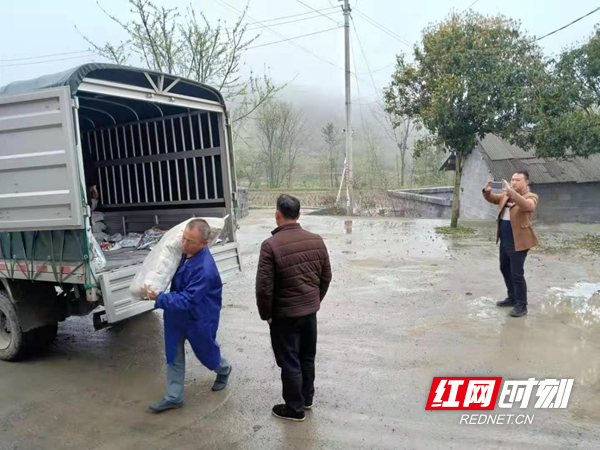 图片11.jpg