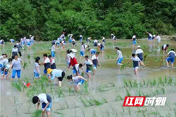 b265b3e424dedd02c2b73013f059e1e.jpg b265b3e424dedd02c2b73013f059e1e.jpg